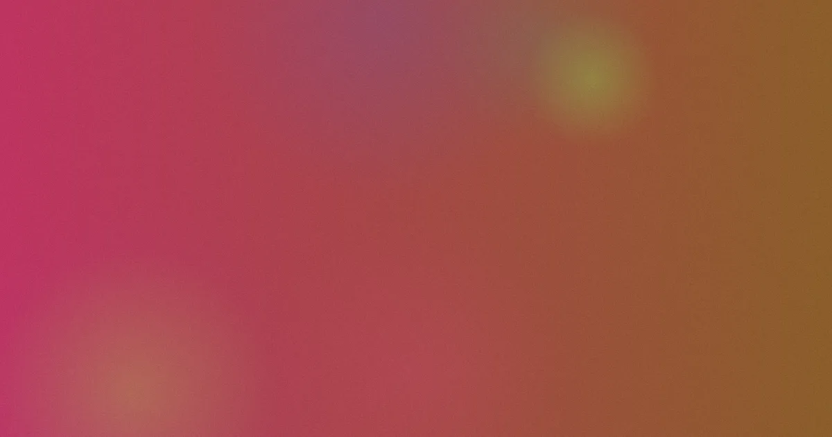 火鸟推荐：新手选型路线